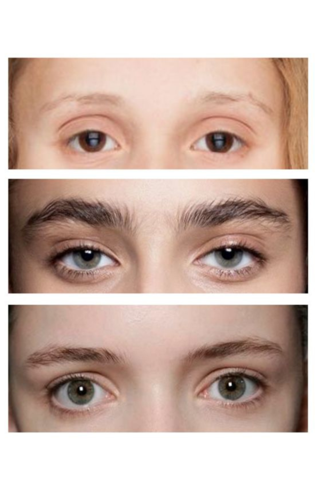 Apostila de Treino Design de Sobrancelhas 2.0