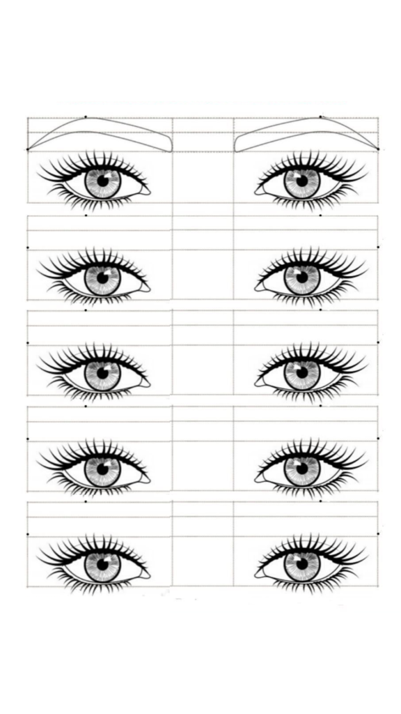 Apostila de Treino Design de Sobrancelhas 2.0