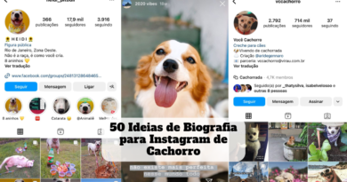 biografia para instagram de cachorro