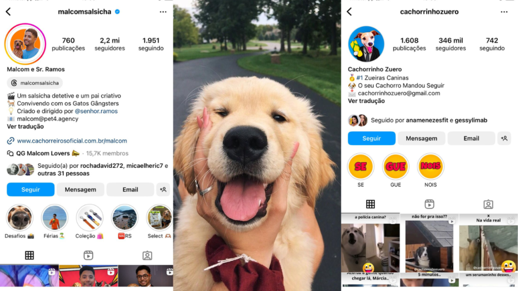 biografia para instagram de cachorro