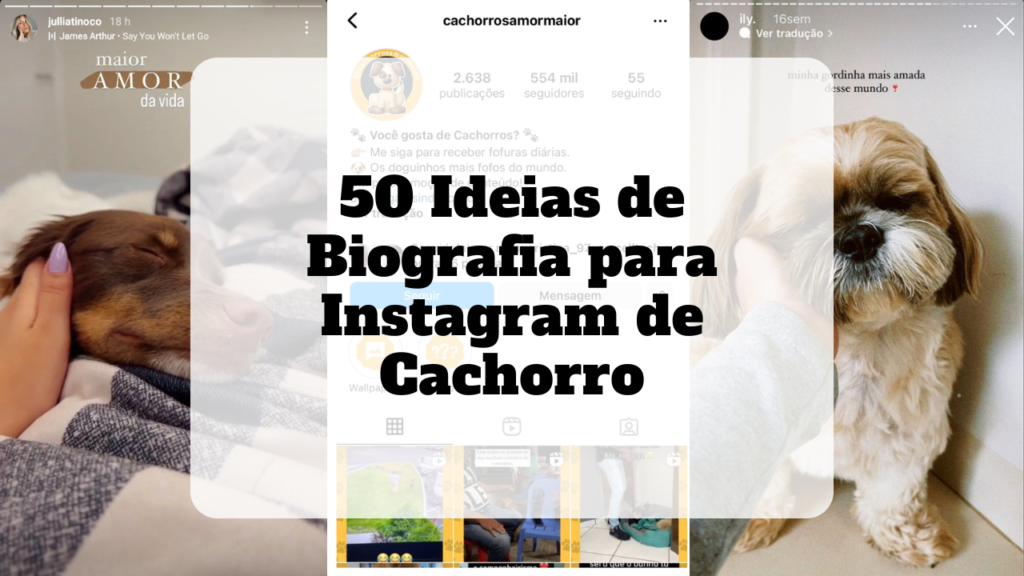 biografia para instagram de cachorro