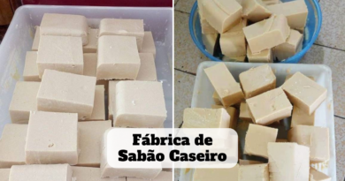 fábrica de sabão caseiro