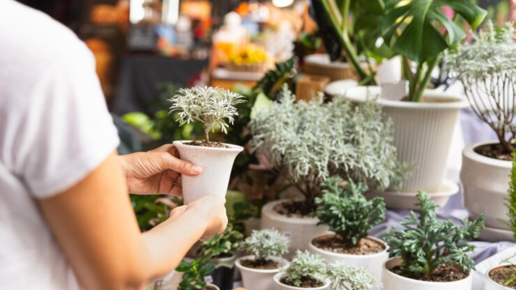 nomes criativos para loja de plantas