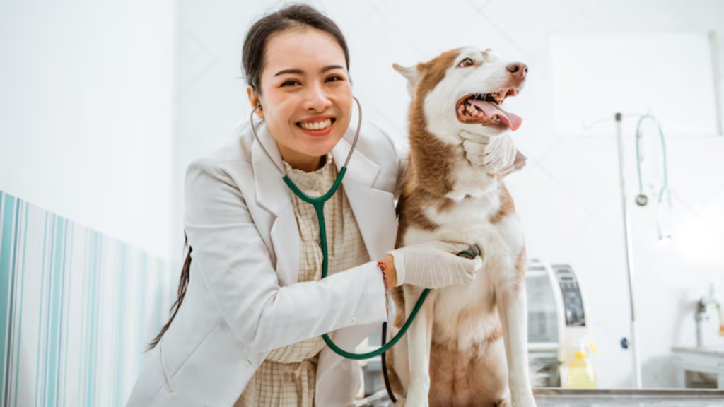 nomes para clinica veterinaria