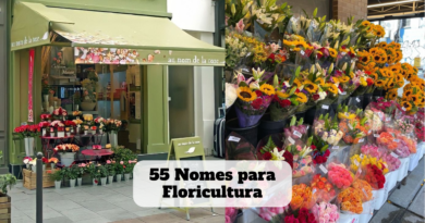 nomes para floricultura