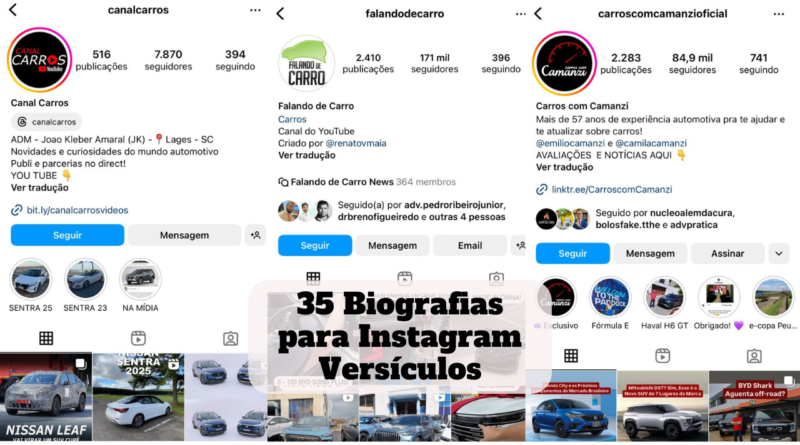 biografia para instagram versiculos