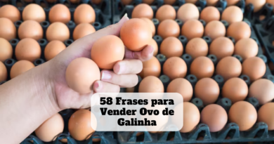 frases para vender ovo de galinha