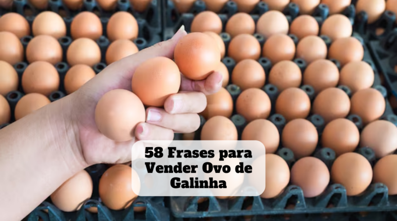 frases para vender ovo de galinha