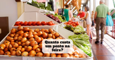 quanto custa um ponto na feira