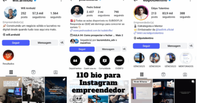 bio para instagram empreendedor