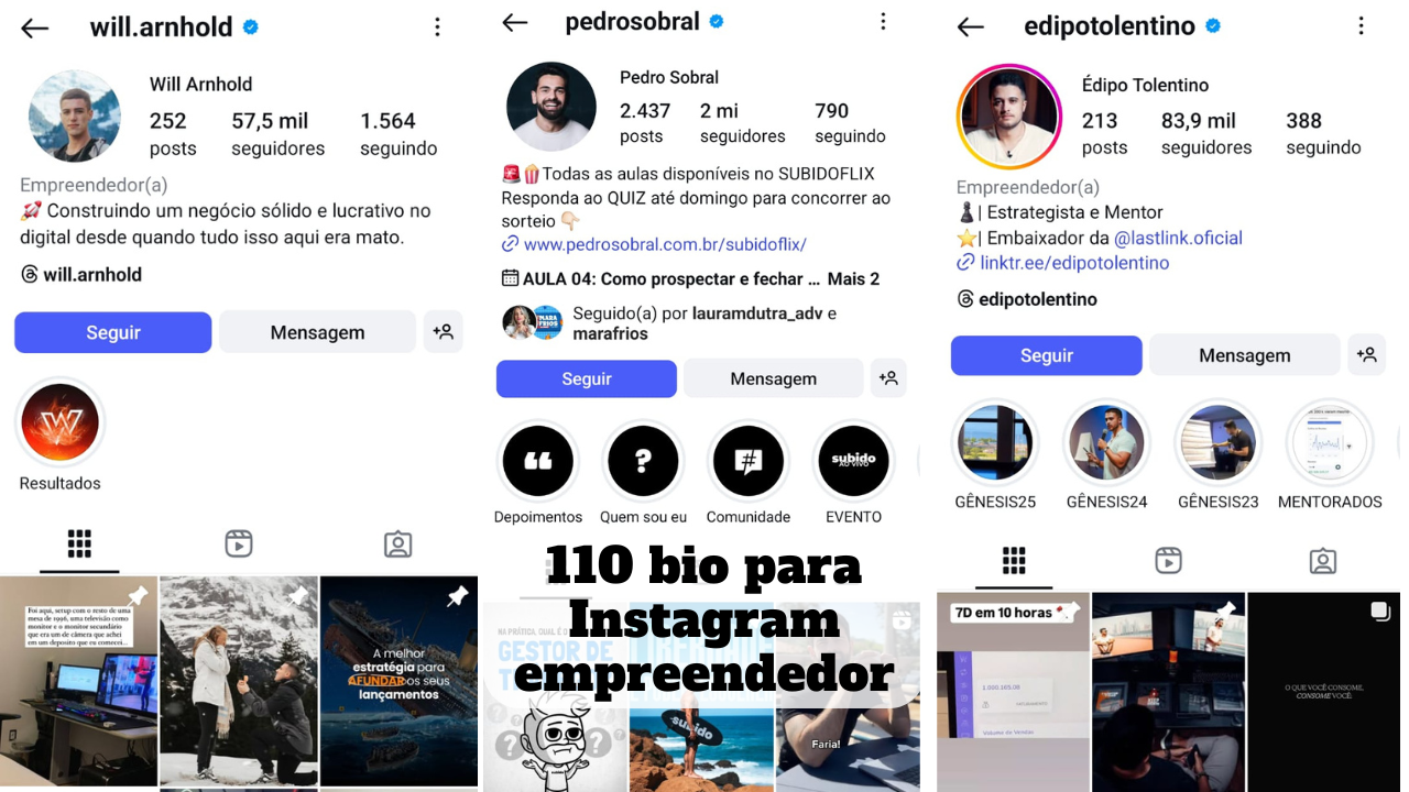 bio para instagram empreendedor