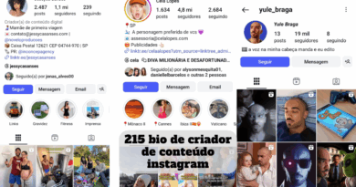 bio de criador de conteúdo instagram