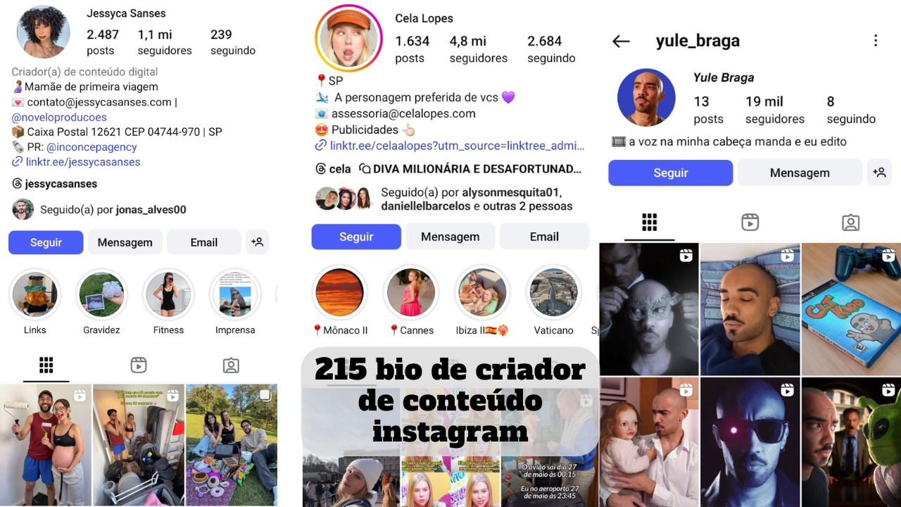 bio de criador de conteúdo instagram