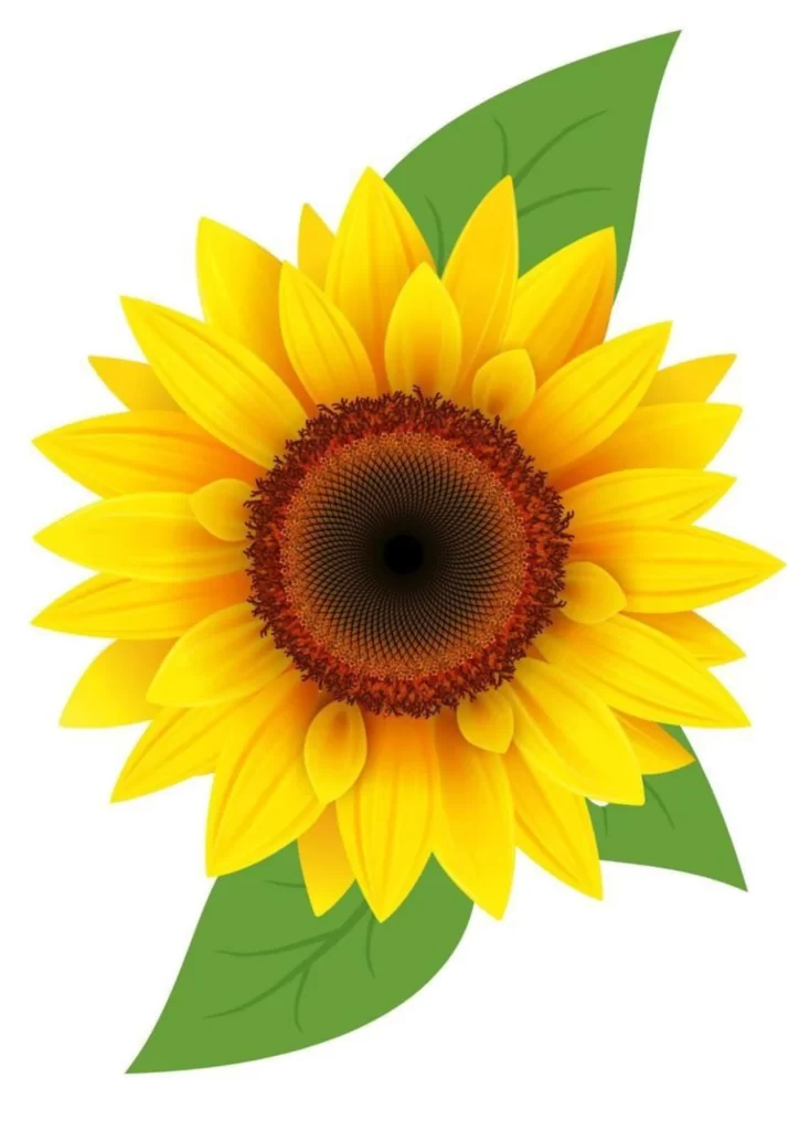 moldes de girassol para imprimir
