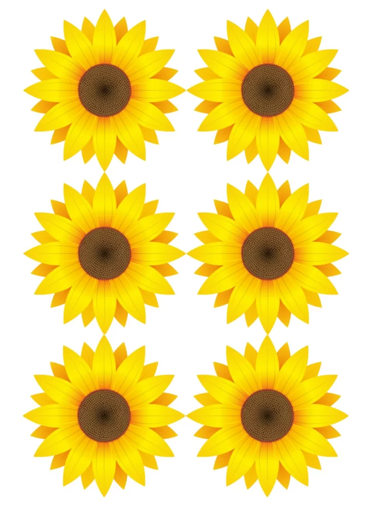 moldes de girassol para imprimir