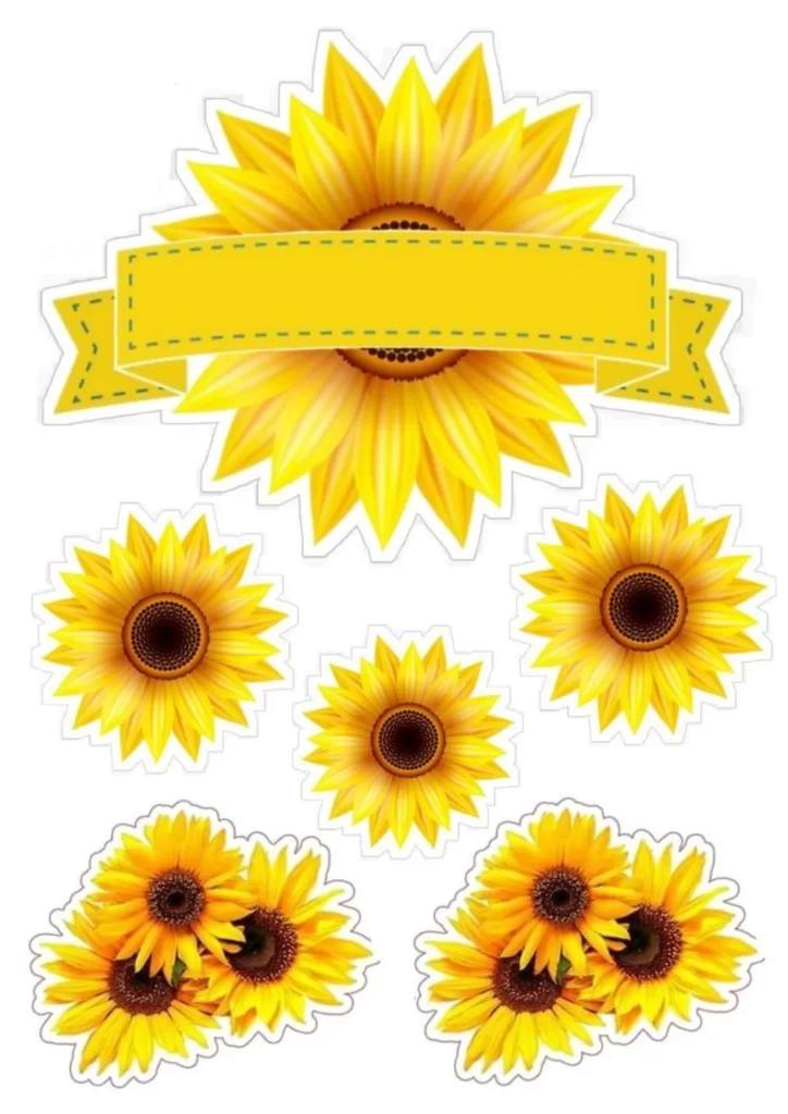 moldes de girassol para imprimir