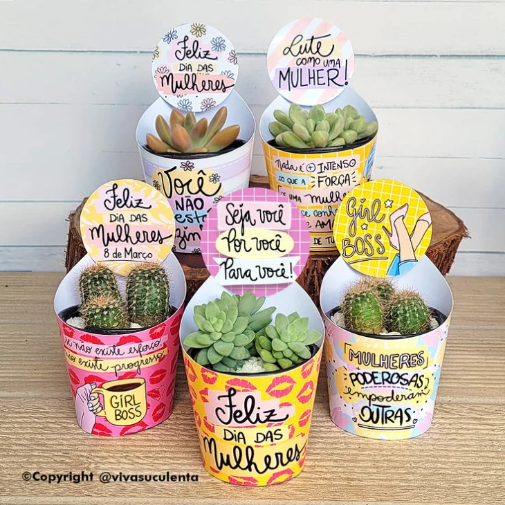 Mini Suculenta ou Cacto