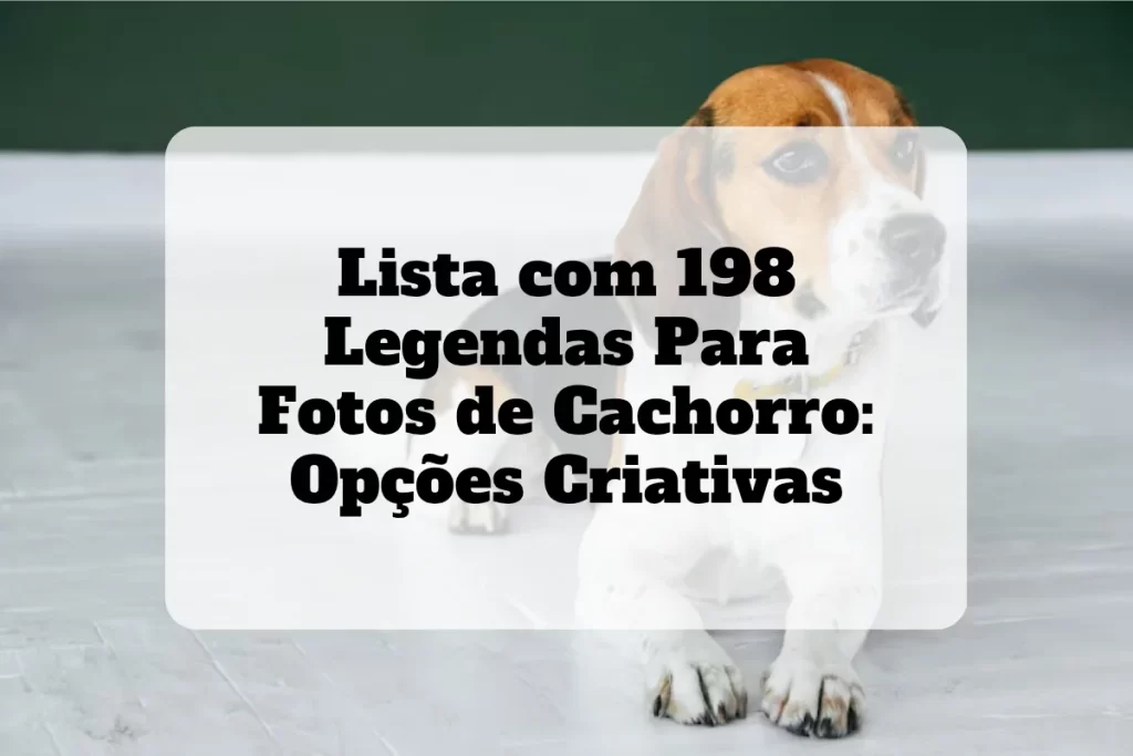 Lista com 198 legendas para fotos de cachorro