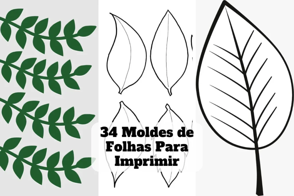 moldes de folhas